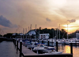 免费ddos攻击网页端